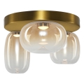 LED Stropna svetilka VASO LED/12W/230V pr. 42 cm zlata/dimna