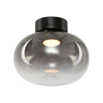 LED Stropna svetilka VASO LED/4W/230V pr. 18 cm dimna