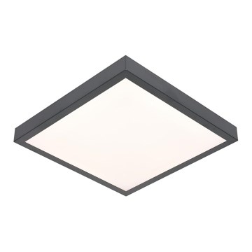 LED Stropna svetilka VITALI LED/24W/230V