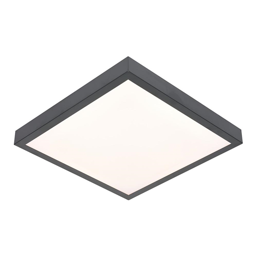 LED Stropna svetilka VITALI LED/24W/230V