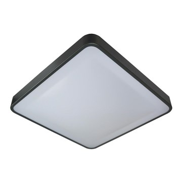 LED Stropna svetilka WILTON LED/24W/230V 37,5x37,5 cm antracit