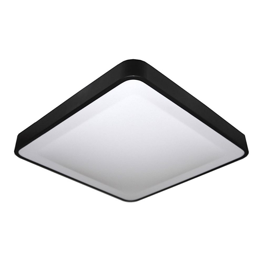 LED Stropna svetilka WILTON LED/24W/230V 37,5x37,5 cm črna