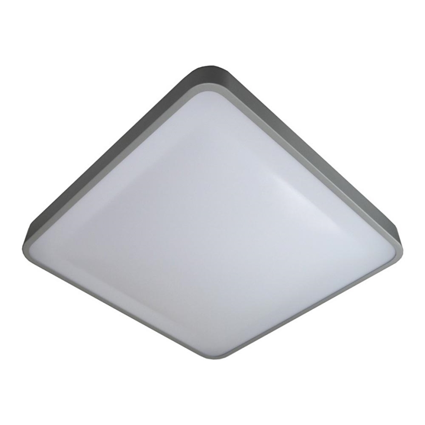 LED Stropna svetilka WILTON LED/24W/230V 37,5x37,5 cm siva