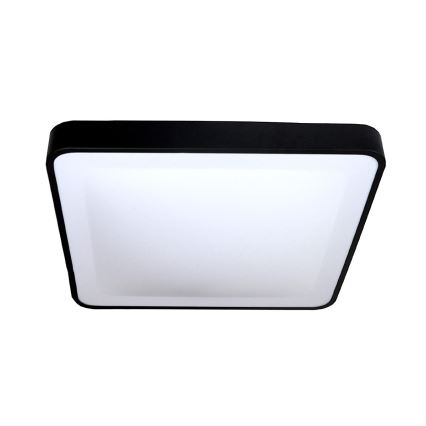 LED Stropna svetilka WILTON LED/24W/230V črna