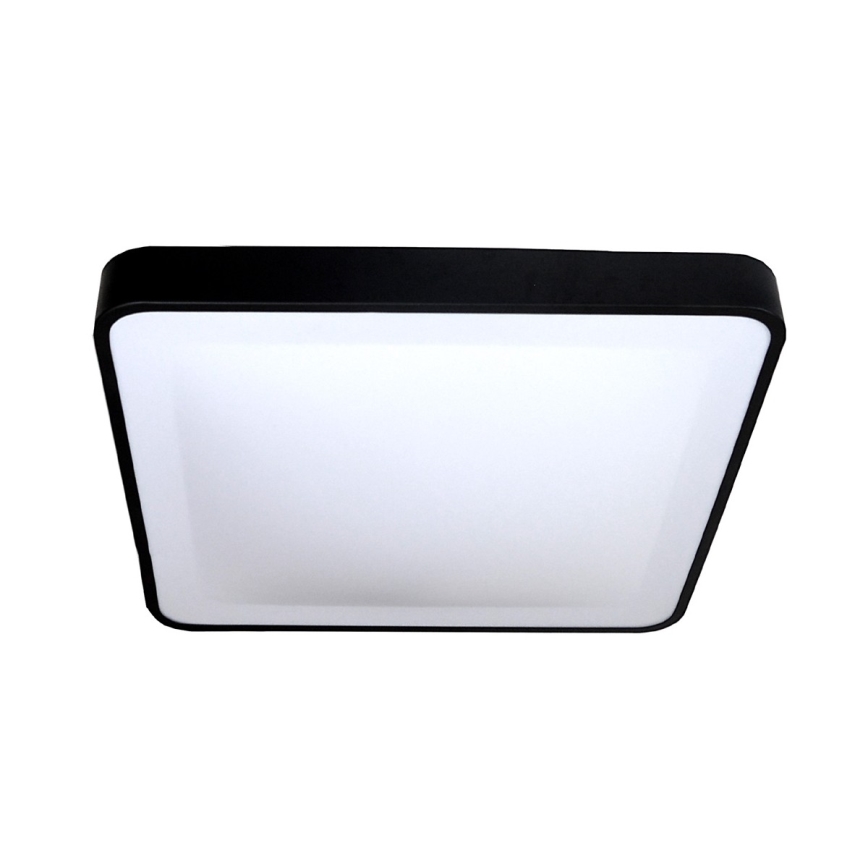 LED Stropna svetilka WILTON LED/24W/230V 37,5x37,5 cm črna
