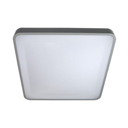 LED Stropna svetilka WILTON LED/24W/230V 37,5x37,5 cm siva