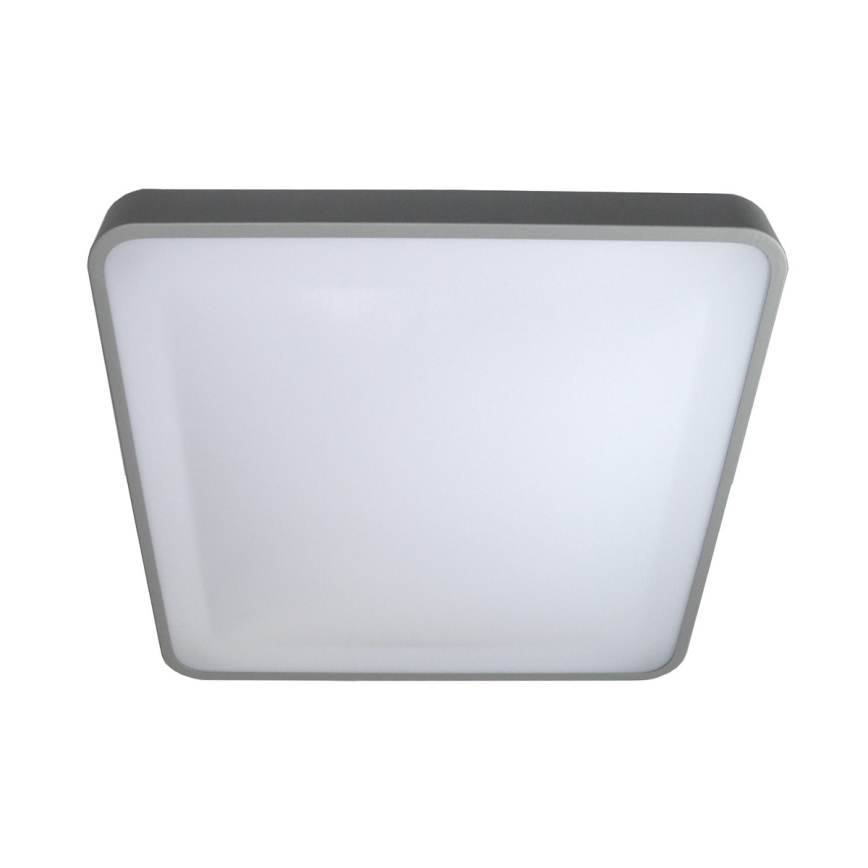 LED Stropna svetilka WILTON LED/24W/230V 37,5x37,5 cm siva