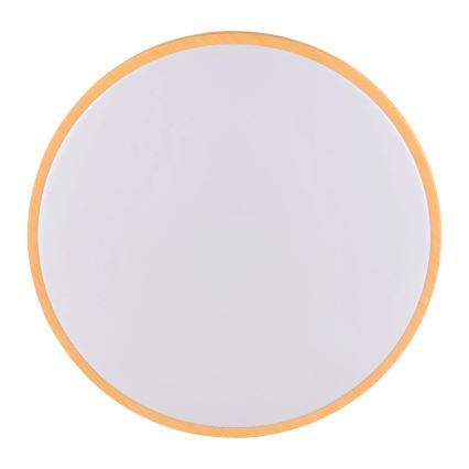 LED Stropna svetilka WOODY LED/24W/230V pr. 38 cm