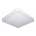 LED stropna svetilka z senzorjem gibanja in senzorjem mraka WILTON LED/24W/230V 4000K 33x33 cm bela