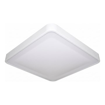 LED stropna svetilka z senzorjem gibanja in senzorjem mraka WILTON LED/24W/230V 4000K 33x33 cm bela