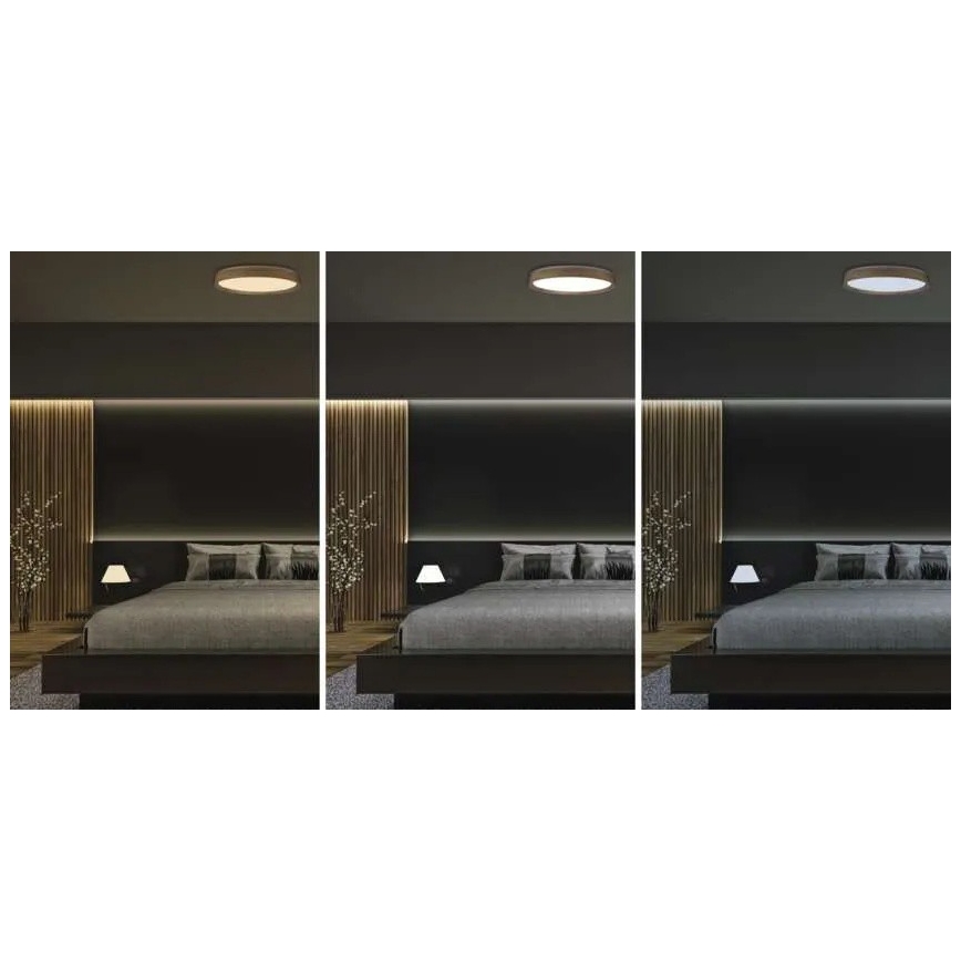 Zatemnljiva LED stropna svetilka ILVI LED/45W/230V 2700-6500K, premer 50 cm, lesni dekor + daljinski upravljalnik