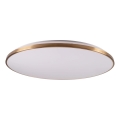 LED stropna svetilka z zatemnitvijo KERN LED/100W/230V 3000/4000/6000K premer 100 cm zlata + daljinski upravljalnik
