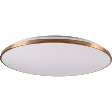 LED stropna svetilka z zatemnitvijo KERN LED/100W/230V 3000/4000/6000K premer 100 cm zlata + daljinski upravljalnik