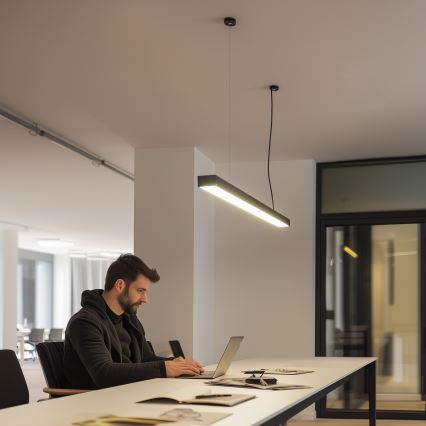 LED Stropna viseča svetilka CYNIDECO LED/30W/230V 4000K črna