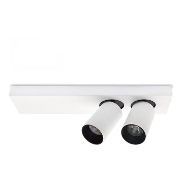 LED Stropni reflektor BERGEN 2xLED/11W/230V