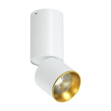 LED Stropni reflektor LED/10W/230V