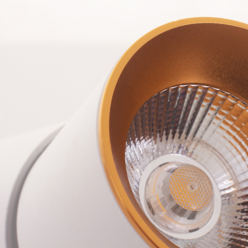 LED Stropni reflektor LED/10W/230V