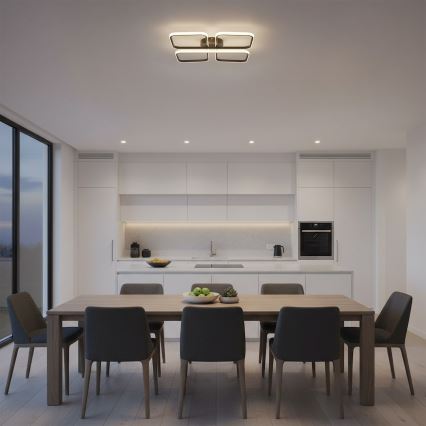 LED stropno svetilo HIDALGO LED/40W/230V črna