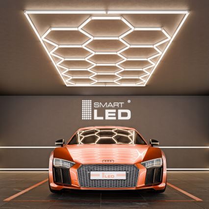 LED stropna svetilka HEXAGON LED/696W/85-265V 4000K 484x243 cm CRI 90 IP54 bela