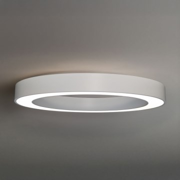 LED stropno svetilo LED/80W/230V 3000/4000/6500K premer 80 cm belo