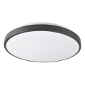 LED stropno svetilo LIBRA LED/24W/230V 4000K premer 39 cm črna