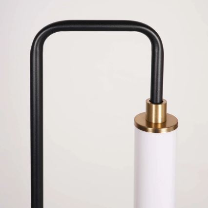 LED talna svetilka FELICJA LED/24W/230V 4000K črna