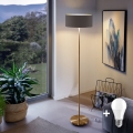 LED talna svetilka TUNJA 1xE27/20W/230V, premer 38 cm, zlata/rjava