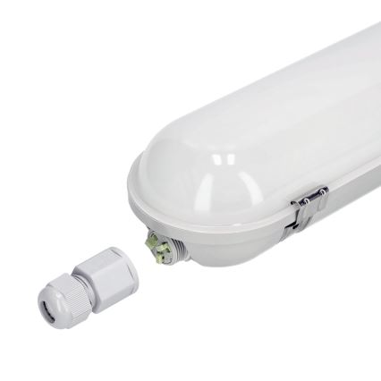 LED Tehnična fluorescenčna svetilka NEXFORCE LED/40W/230V IP65 4000K