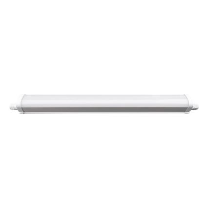 LED Tehnična svetilka LED/40W/180-265V IP65