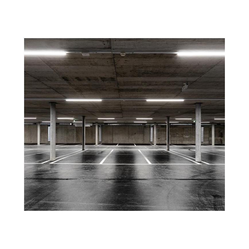 LED tehnično fluorescenčno svetilo LUMEXO LED/50W/230V 4000K IP65 151 cm