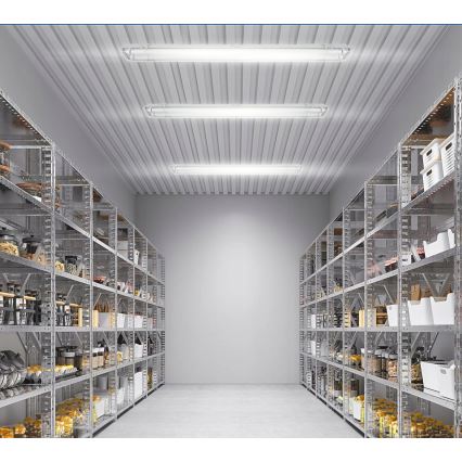 LED tehnično fluorescentno svetilo T8 2xG13/20W/230V 6500K 120 cm IP65 belo