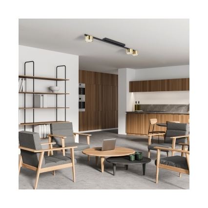 LED točkovna svetilka LOGAN 3xGU10/10W/230V črna/zlata