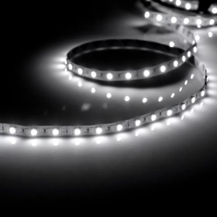 LED Trak 5m 28W/12V IP20 6500K