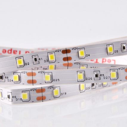 LED Trak 5m LED/10W/12V IP20 6500K
