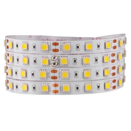 LED Trak 5m LED/10W/12V IP20 bela