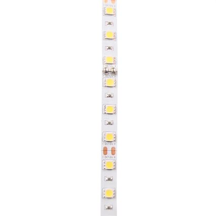 LED Trak 5m LED/10W/12V IP20 bela