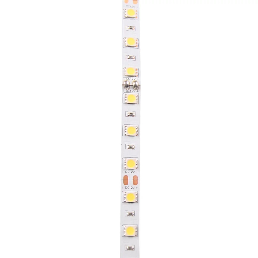 LED Trak 5m LED/10W/12V IP20 bela