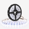 LED trak LED/50W/12V 5m hladno bela