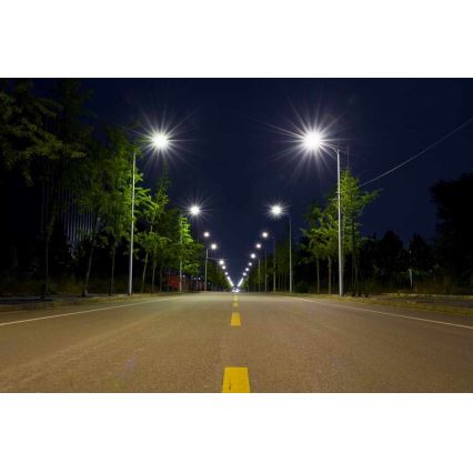 LED Ulična svetilka BOSTON LED/35W/230V IP65