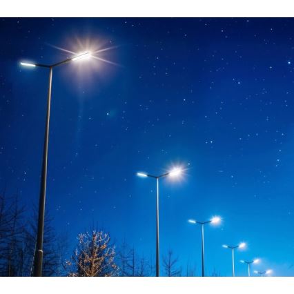 LED ulična svetilka BRELUXO LED/50W/230V 4000K IP65