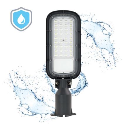 LED ulična svetilka BRELUXO LED/50W/230V 4000K IP65