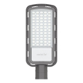 LED Ulična svetilka LED/100W/230V 6500K IP65 siva