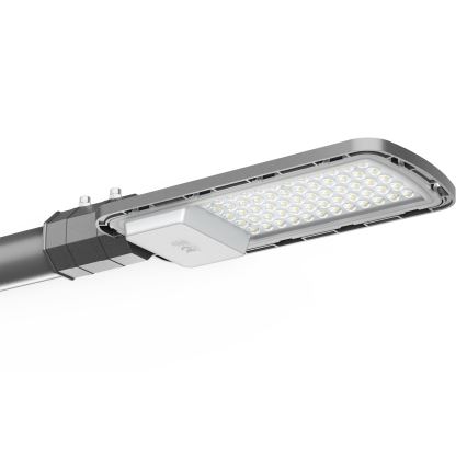 LED Ulična svetilka LED/100W/230V 6500K IP65 siva