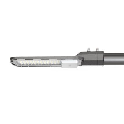 LED Ulična svetilka LED/100W/230V 6500K IP65 siva