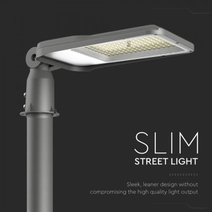 LED Ulična svetilka SAMSUNG CHIP LED/100W/230V 6500K IP65
