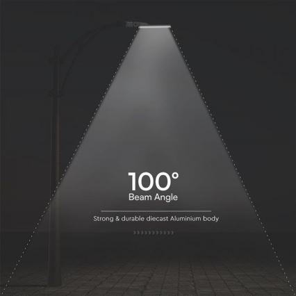 LED Ulična svetilka SAMSUNG CHIP LED/100W/230V 6500K IP65