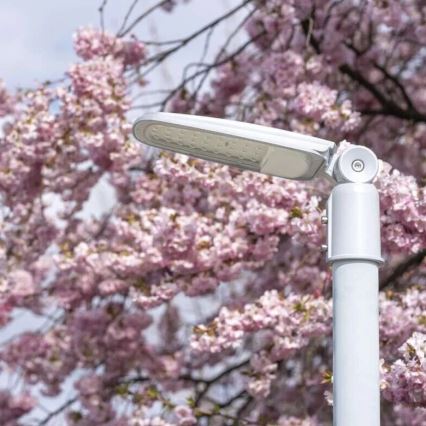 LED Ulična svetilka SOLIS LED/30W/230V 4000K IP65