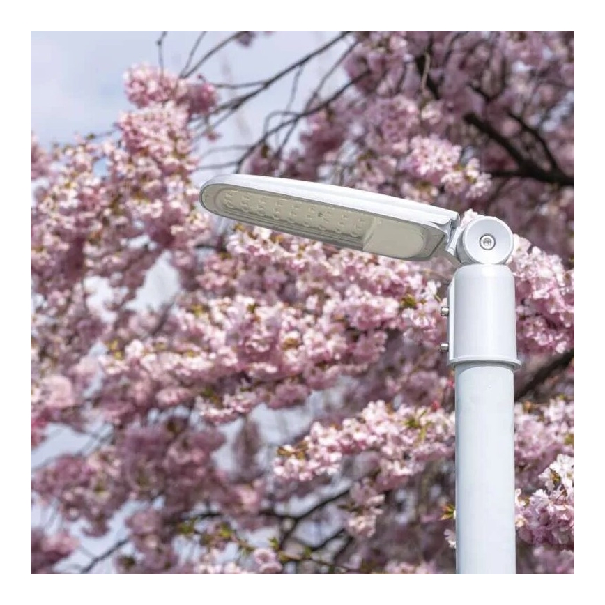 LED Ulična svetilka SOLIS LED/30W/230V 4000K IP65