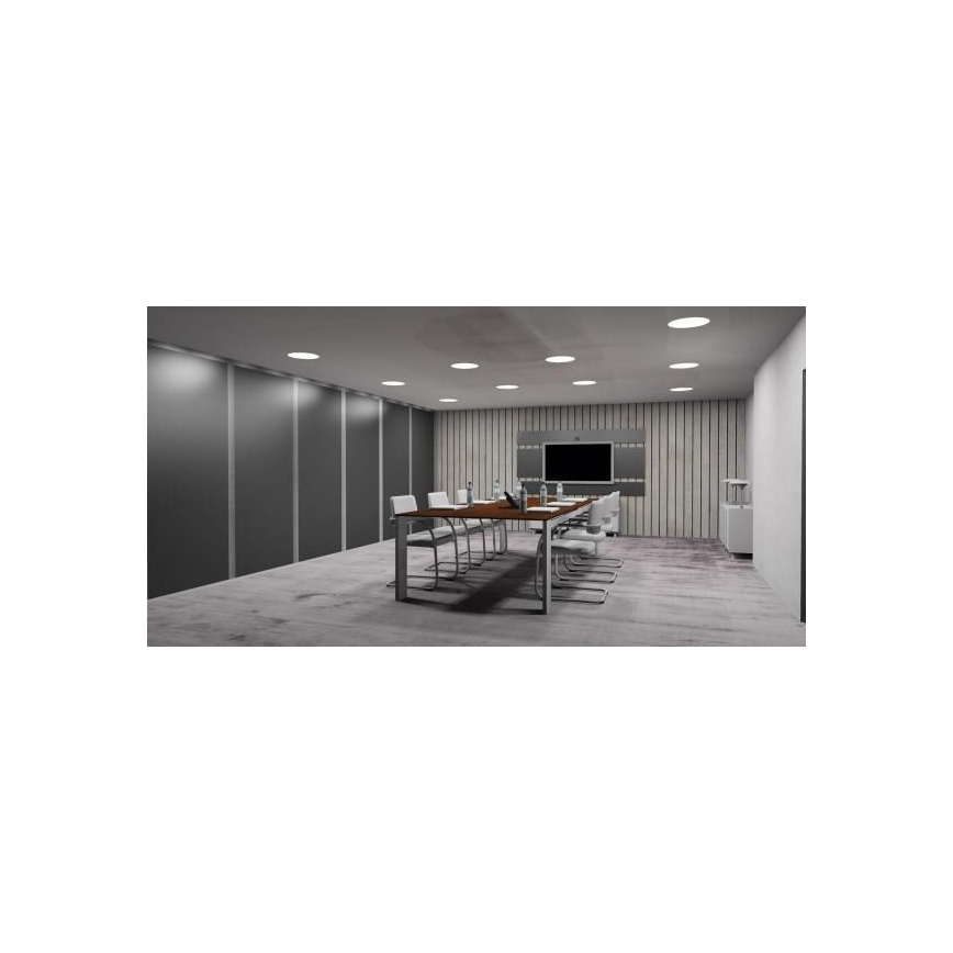LED Vgradna svetilka LED/24W/230V