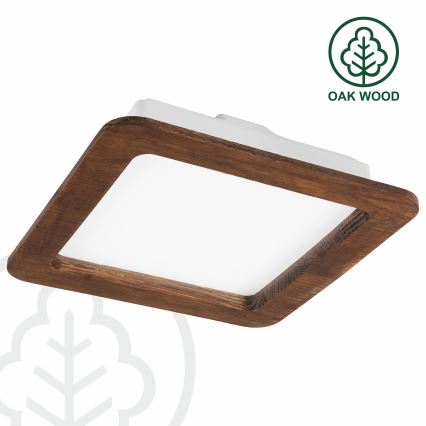 LED Vgradna svetilka WOODY SPOT LED/17W/230V 3000K češnja 18,5x18,5 cm